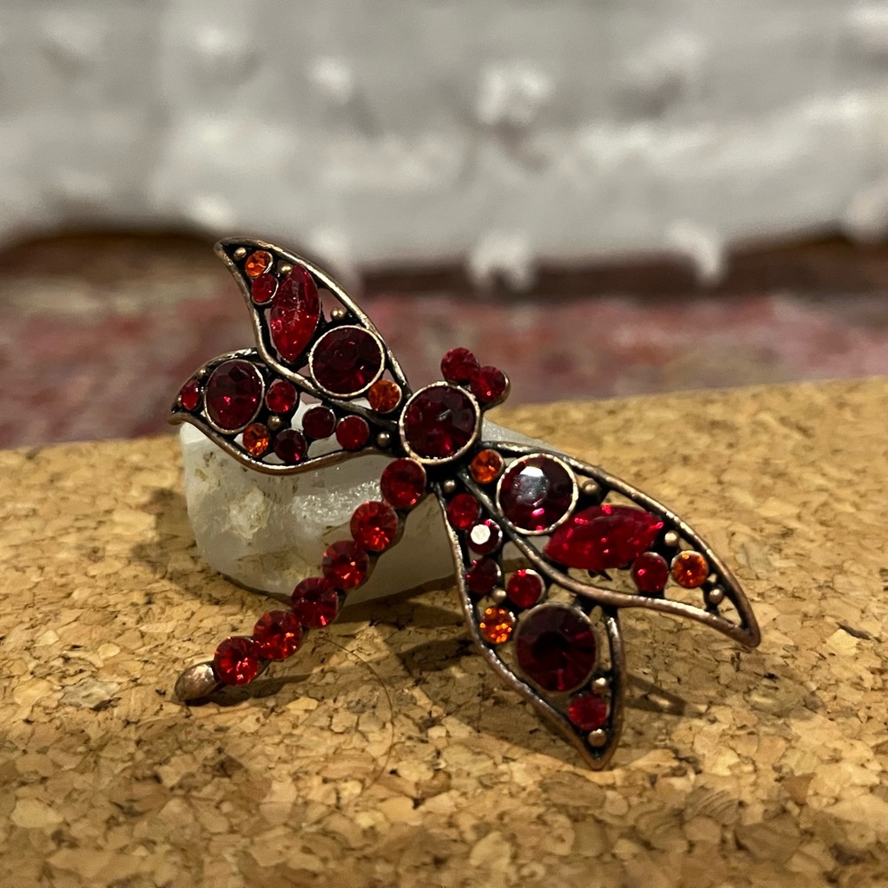 Dragon fly brooch